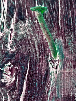 I 042C